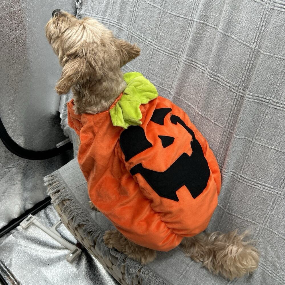 Pumpkin Dog Costume Halloween Orange Plush Size Large READ
